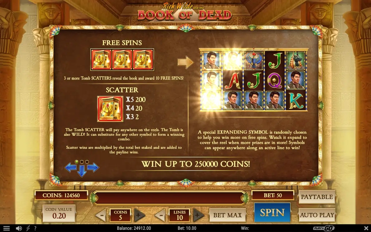 Book of Dead slot by Play'n GO