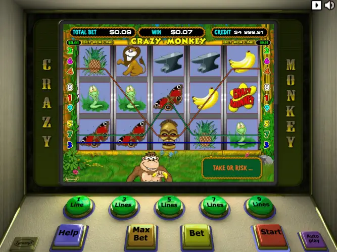 Play Crazy Monkey for real money